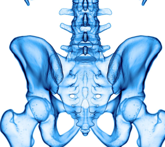 Bederní páteř a pánev (Lumbar spine and pelvic)