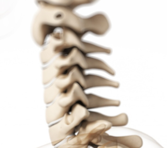 Krční páteř (Cervical spine)