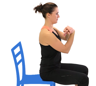 Svaly předloktí a ruky (Muscles of the forearm and hand)
