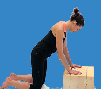 Bederní páteř – flexe x extenze (LUMBAR SPINE – FLEXION x EXTENSION)