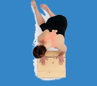 Bederní páteř – lateroflexe (LUMBAR SPINE – LATEROFLEX)
