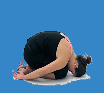 Hrudní páteř – flexe vkleče (THORACIC SPINE – FLEXION)