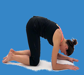 Hrudní páteř – flexe x extenze (THORACIC SPINE – FLEXION x EXTENSION)