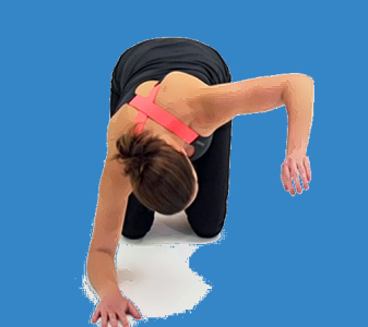 Hrudní páteř – rotace (THORACC SPINE – ROTATION)