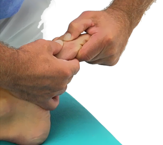Metatarzofalangeální klouby – posuny (METATARZOPHALANGEAL JOINTS – SHIFTS)
