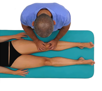 Patelofemorální kloub (PATELOFEMORAL JOINT)