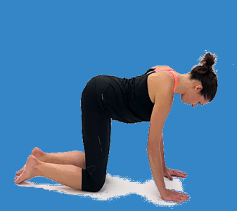Thorakolumbální přechod – flexe x extenze (THORACOLUMBAR JUNCTION – FLEXION x EXTENSION)