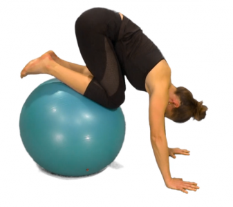 Vzpor ležmo („prkno“) s míčem  – flexe trupu a dolních končetin