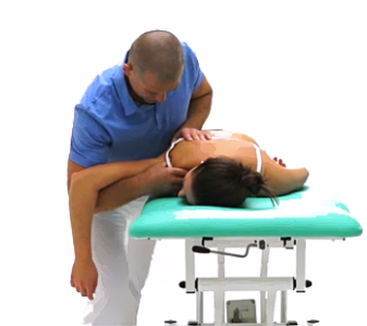 Žebra – transverzokostální skloubení pomocí lopatky (RIBS – TRANSVERSOCOSTAL JOINT USING THE SCAPULA)