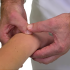 Interkarpální klouby (INTERCARPAL JOINTS)