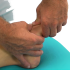 Tarzometatarzální klouby (TARZOMETATARSAL JOINTS)